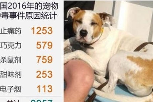 犟造者1号怎么样算抽完了？如何判断？