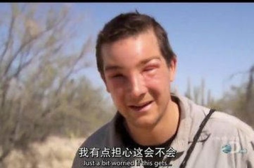 悦刻电子烟怎么样 烟弹能用多久