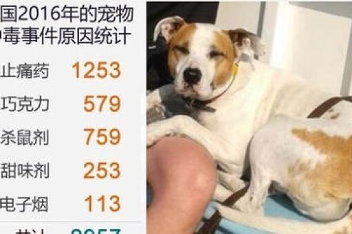 悦刻积木电子烟怎么看烟弹