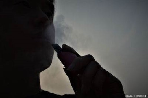 名人网站新增悦刻创始人汪莹资料